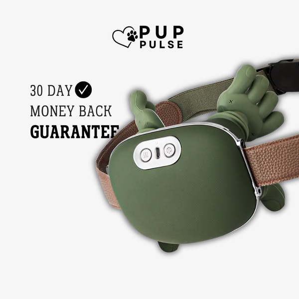 The Original Pup Pulse Electric Massager